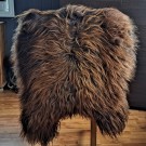 4 stk Islandsk saueskinn i Blacky Rusty farge  (100-110 cm, str.II/XL) thumbnail