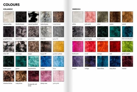 Krakk - Islandsk korthåret- Alle farger