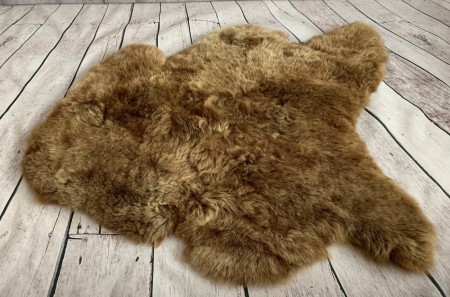Ekte Islandske Saueskinn i Rusty Brisa farge -korthåret